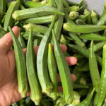 Ist Okra gut für Menschen mit Diabetes? Vorteile, Risiken und wie man sie richtig isst